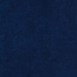 aksamit Puma electric 511