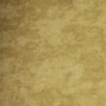 Tkanina łatwa w czyszczeniu Barbaa curry 087