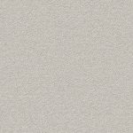 Neve oyster mushroom 10