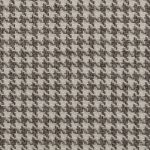 Pepitka Bristol mouse