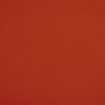 Skaj Valencia tomato