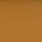 Skaj Valencia melone