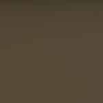 Skaj Valencia mushroom