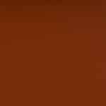 Skaj Valencia nectarine